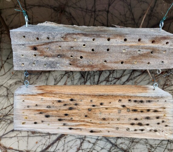 Selbst gebohrtes Insektenhotel in Hartholz