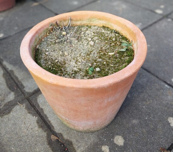 Mit Sand gefüllter Blumentopf